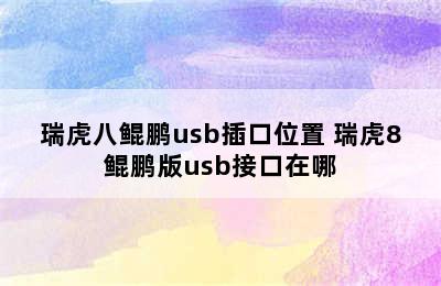 瑞虎八鲲鹏usb插口位置 瑞虎8鲲鹏版usb接口在哪